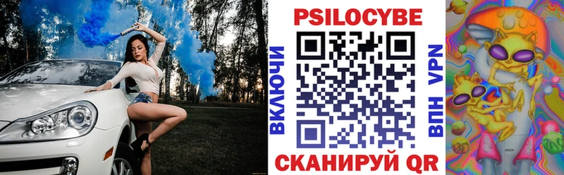 Купить закладки Кириллов Псилоцибиновые грибы Cubensis
